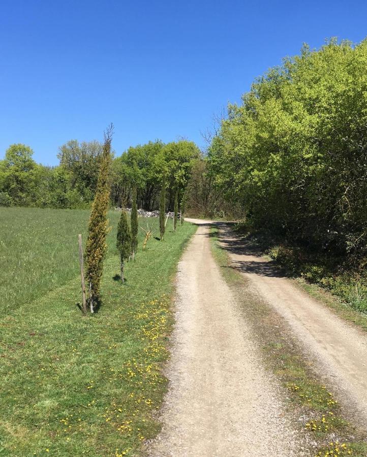 Les Gites Perard Caylus Exteriör bild