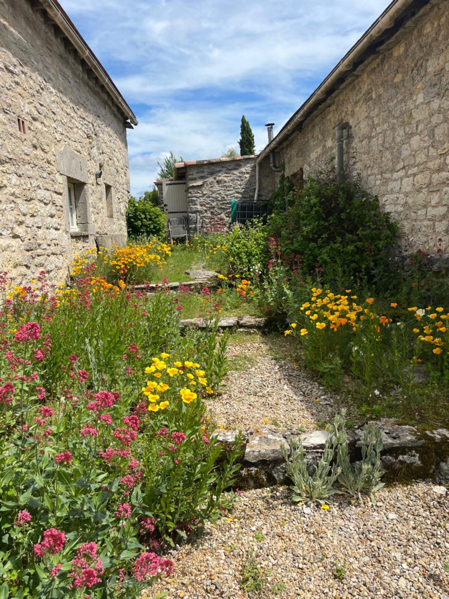 Les Gites Perard Caylus Exteriör bild